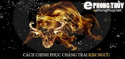 Cách chinh phục chàng trai kim ngưu