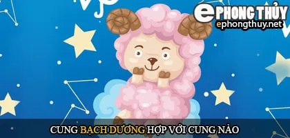 Cung bạch dương hợp với cung nào