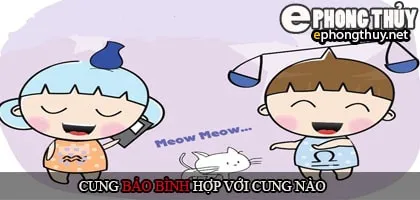 Cung bảo bình hợp với cung nào