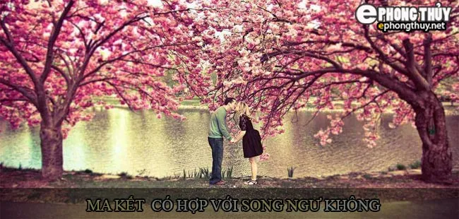 Cung Ma Kết có hợp với cung Song Ngư không