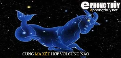 Cung ma kết hợp với cung nào