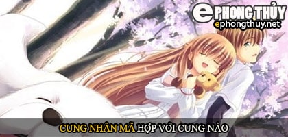 Cung nhân mã hợp với cung nào