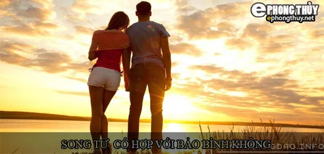 Cung Song Tử có hợp với cung Bảo Bình không