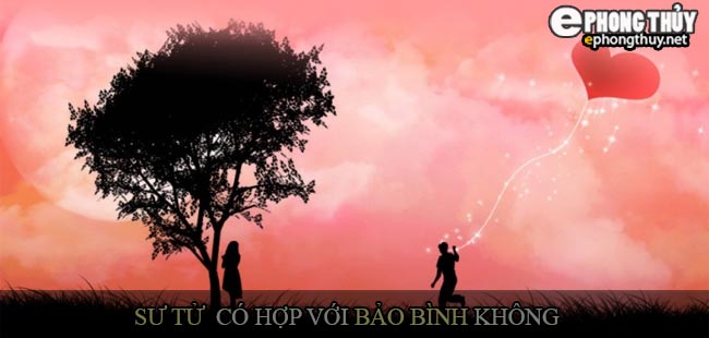 Cung Sư Tử có hợp với cung Bảo Bình không