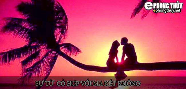 Cung Sư Tử có hợp với cung Ma Kết không