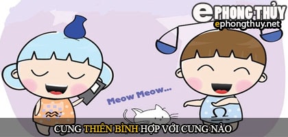 Cung thiên bình hợp với cung nào