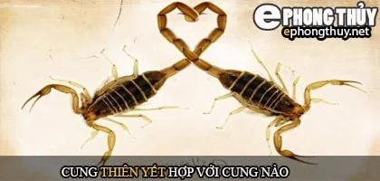 Cung thiên yết hợp với cung nào