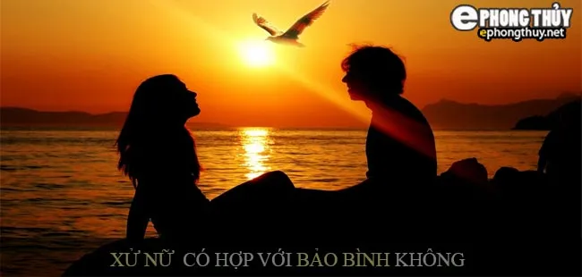 Cung Xử Nữ có hợp với cung Bảo Bình không