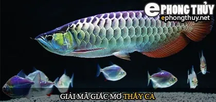 Giải mã giấc mơ thấy cá