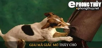 Giải mã giấc mơ thấy chó