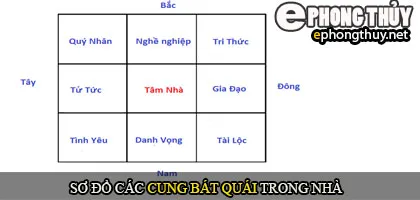 Kích hoạt các cung trong nhà