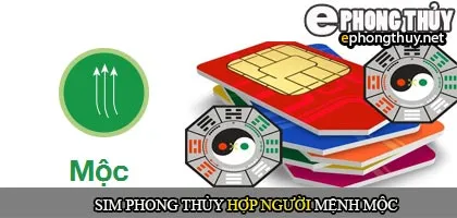 Xem sim phong thủy hợp mệnh mộc
