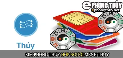 Xem sim phong thủy hợp mệnh Thủy
