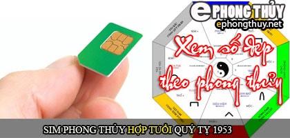 Xem sim số đẹp hợp tuổi 1953