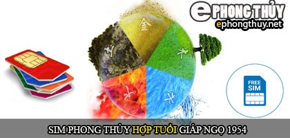 Xem sim số đẹp hợp tuổi 1954