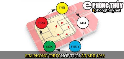 Xem sim số đẹp hợp tuổi 1955