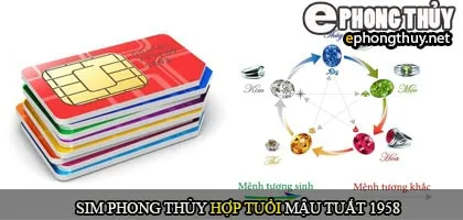 Xem sim số đẹp hợp tuổi 1958