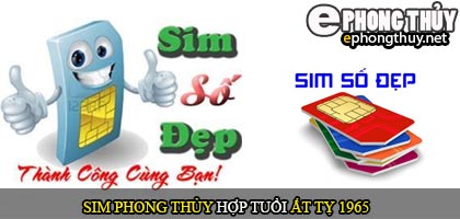 Xem sim số đẹp hợp tuổi 1965