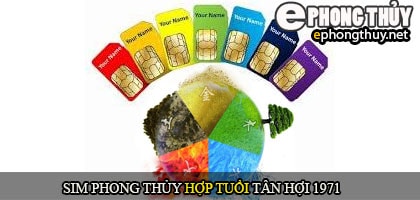 Xem sim số đẹp hợp tuổi 1971