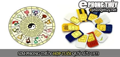 Xem sim số đẹp hợp tuổi 1973