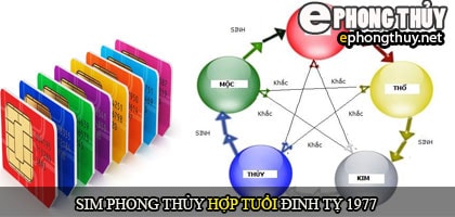 Xem sim số đẹp hợp tuổi 1977