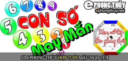 Xem sim số đẹp hợp tuổi 1994