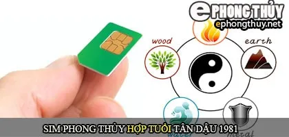 Xem sim số đẹp hợp tuổi 1981