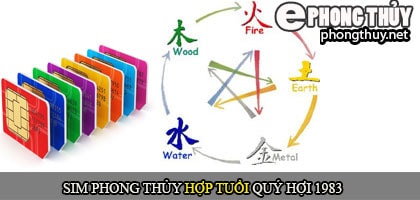 Xem sim số đẹp hợp tuổi 1975