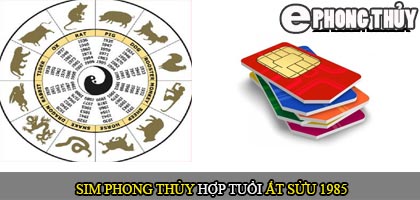 Xem sim số đẹp hợp tuổi 1985