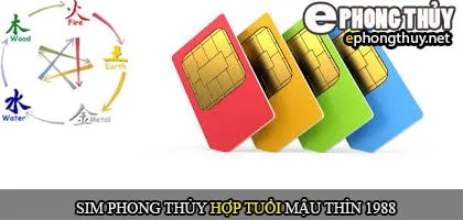 Xem sim số đẹp hợp tuổi 1988