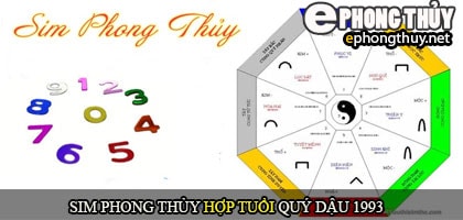 Xem sim số đẹp hợp tuổi 1993