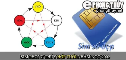 Xem sim số đẹp hợp tuổi 2002