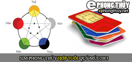 Xem sim số đẹp hợp tuổi 2003
