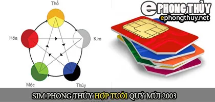 Xem sim số đẹp hợp tuổi 2003