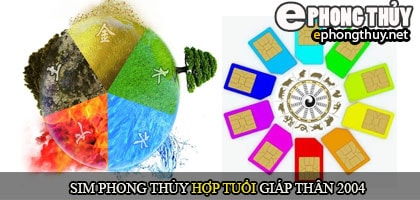 Xem sim số đẹp hợp tuổi 2004