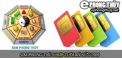 Xem sim số đẹp hợp tuổi 2009