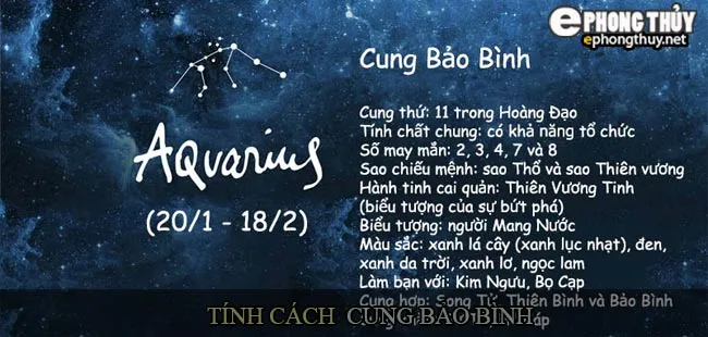 Tính cách cung Bảo Bình