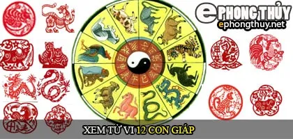Tử vi 12 con giáp
