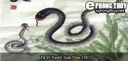 Tử vi người sinh năm 1965 Ất Tỵ
