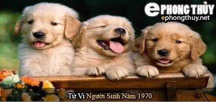 Tử vi người sinh năm 1970 Canh Tuất