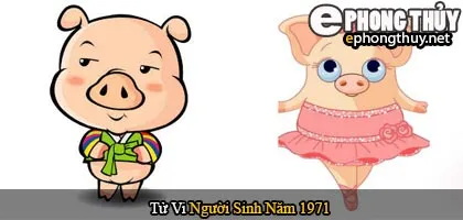 Tử vi người sinh năm 1971 Tân Hợi