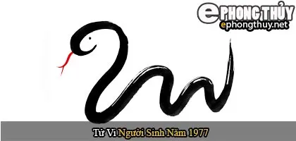 Tử vi người sinh năm 1977 Đinh Tỵ