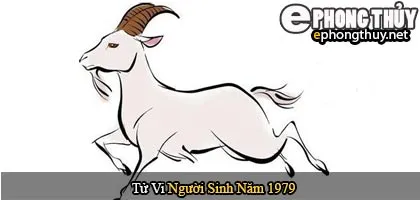 Tử vi người sinh năm 1979 Kỷ Mùi