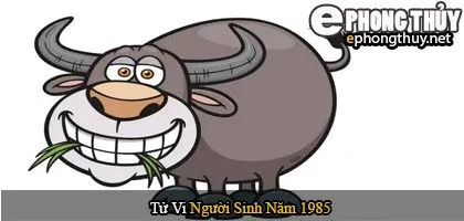 Tử vi người sinh năm 1985 Ất Sửu