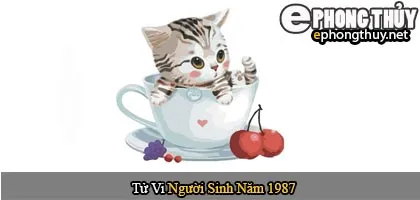 Tử vi người sinh năm 1987 Đinh Mão