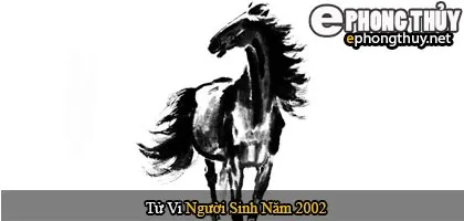 Tử vi người sinh năm 2002 Nhâm Ngọ
