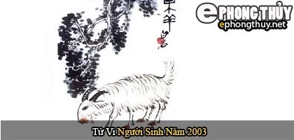 Tử vi người sinh năm 2003 Quý Mùi