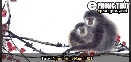 Tử vi người sinh năm 2004 Giáp Thân