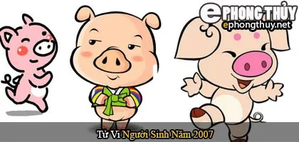 Tử vi người sinh năm 2007 Đinh Hợi