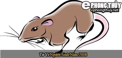 Tử vi người sinh năm 2008 Mậu Tý